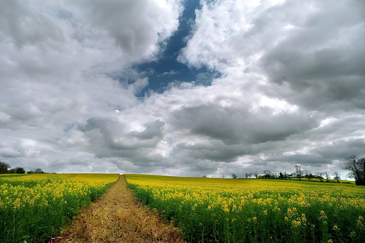 5 STAR LOOS - Photo 4