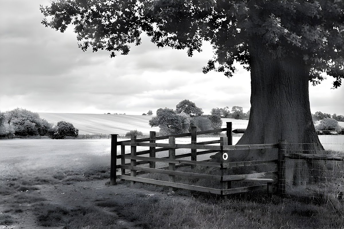 5 STAR LOOS - Photo 5