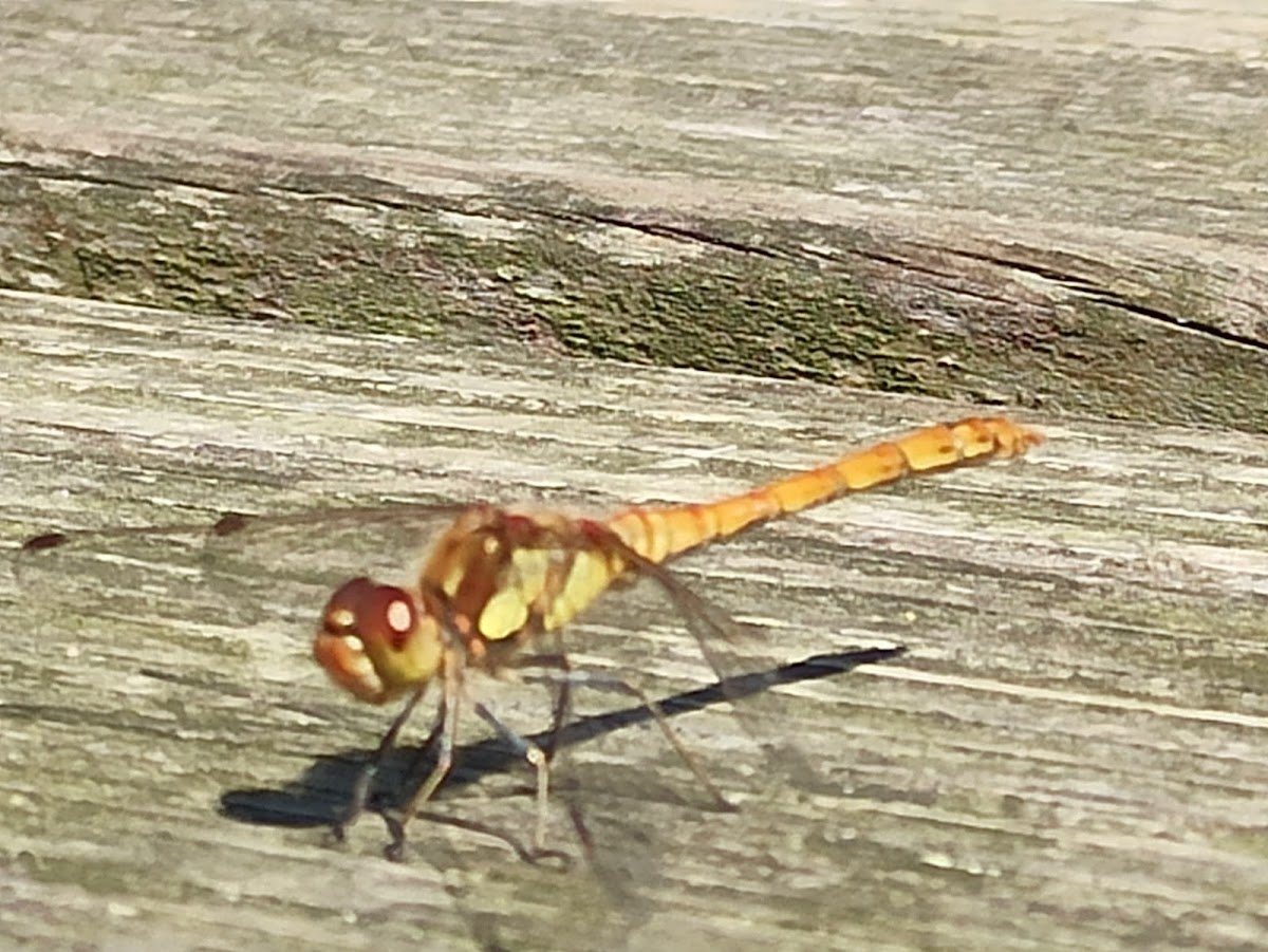 Cartgate Picnic Area Toilets - Photo 5