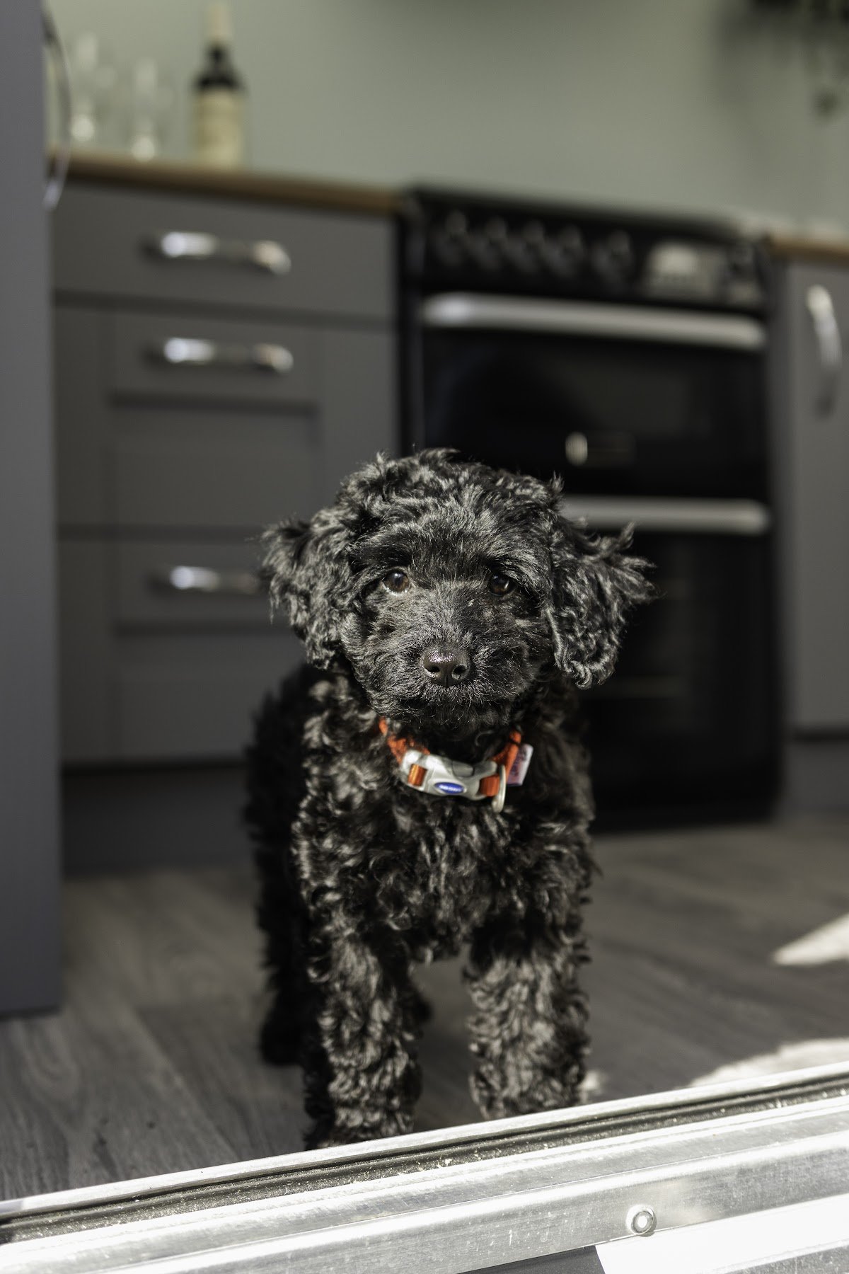 Kitchen Pod Hire - Photo 5