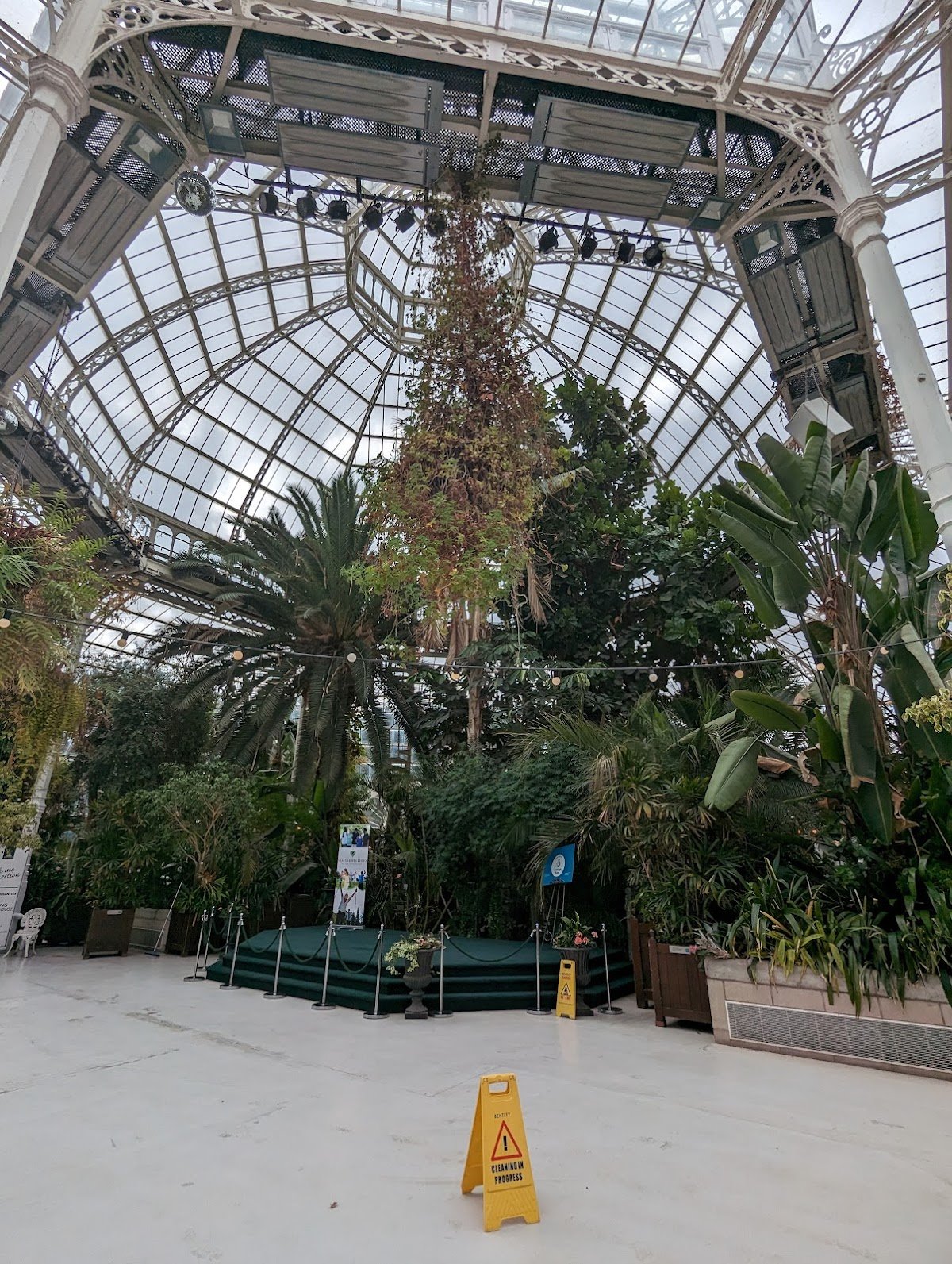 Sefton Park Palm House - Photo 2