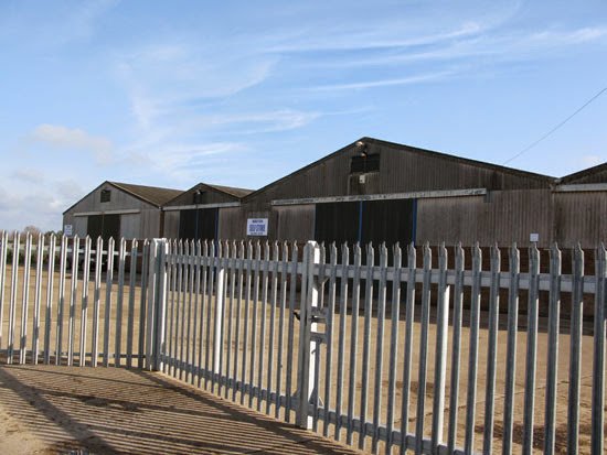 Walton Loo Hire - Photo 2